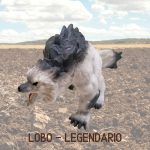 The Epic Animals 4 Elementos Serie 1 - Imagen 12